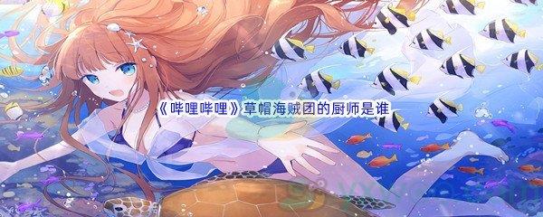 哔哩哔哩草帽海贼团的厨师是谁