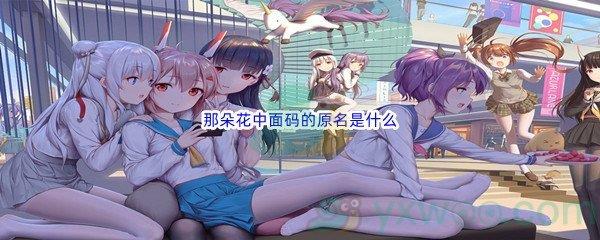 哔哩哔哩那朵花中面码的原名是什么