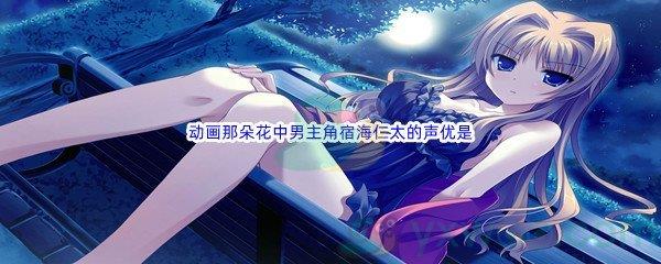 哔哩哔哩动画那朵花中男主角宿海仁太的声优是
