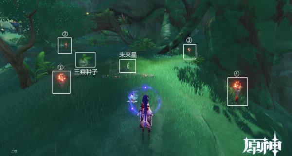 原神寻星之旅第三天流程是什么
