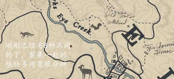 荒野大镖客2草药大师挑战六怎么完成