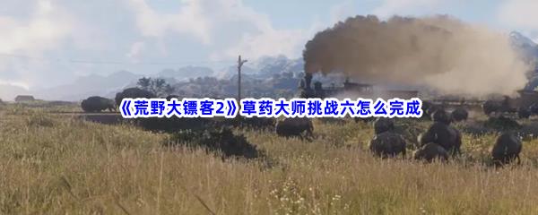 荒野大镖客2草药大师挑战六怎么完成