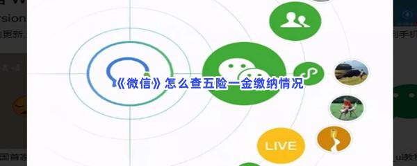 微信怎么查五险一金缴纳情况