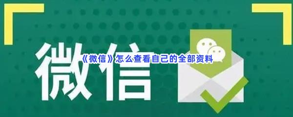微信怎么查看自己的全部资料